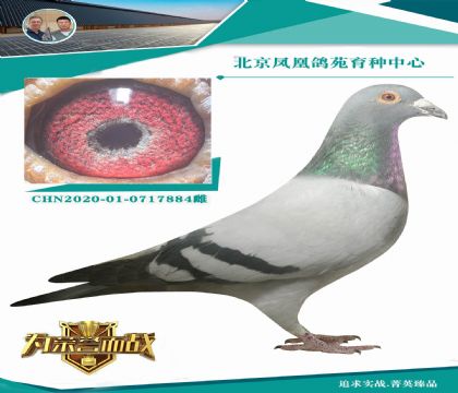 �����ض�848�����ض�ֱ�ӣ���X���ǲ���9992��4000