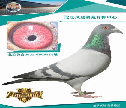 13��Ǳ�˿˿����X11��ǱȽ�С��000008ֱŮ