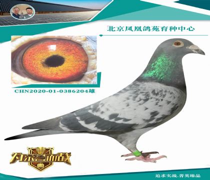 ������ս��998ֱϵX������������š���Ů