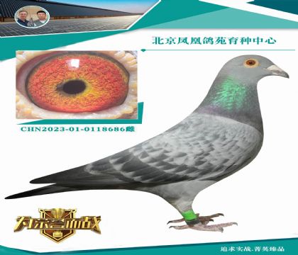 �ش����˵�����˹740ֱ��X������003ֱ��X��ֱŮ��