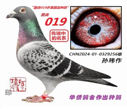 1��--ղɭ019ϵ-0329256��