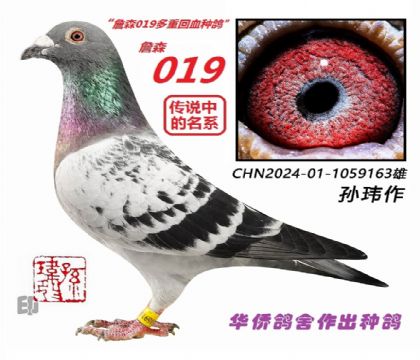 3��--ղɭ019ϵ-1059163��