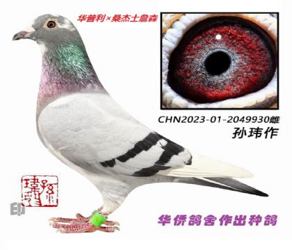 7��--��������ɣ��ʿղɭ2049930��