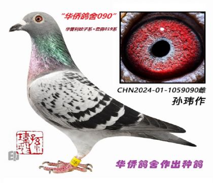 8��--����������ϵ��ղɭϵ-1059090��