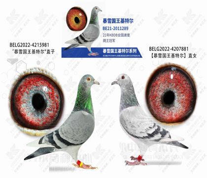 ��ѩֱ��XֱŮ