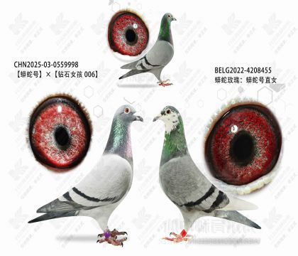 ���ߺ�ֱ��XֱŮ