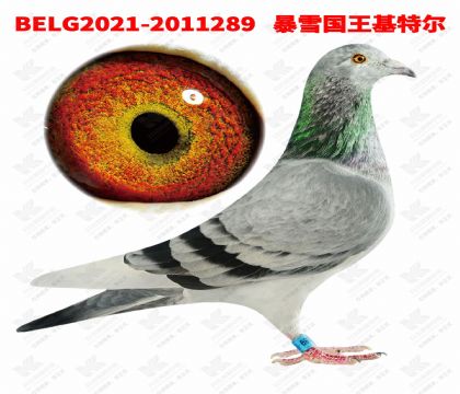 3-��ѩ�������ض�