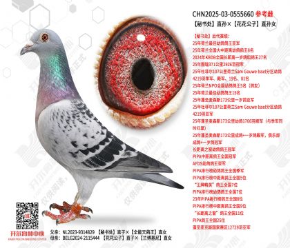 ���鴦ֱ�����������ֱ��Ů