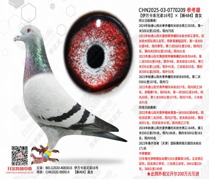 �������ֵ�16�š���484ֱŮ