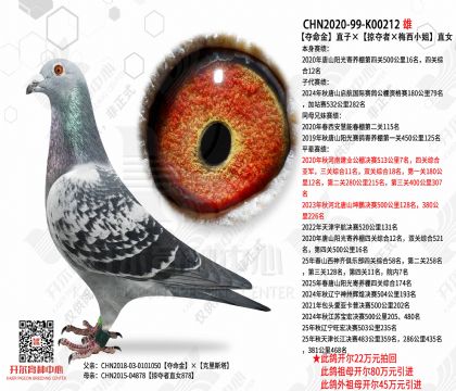 ������ֱ�ӡ�"�Ӷ��ߡ�÷��С��"ֱŮ