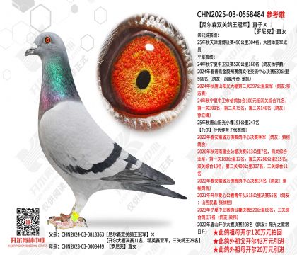 ���ɭ˫�ظ����ھ�ֱ�ӡ������ֱŮ