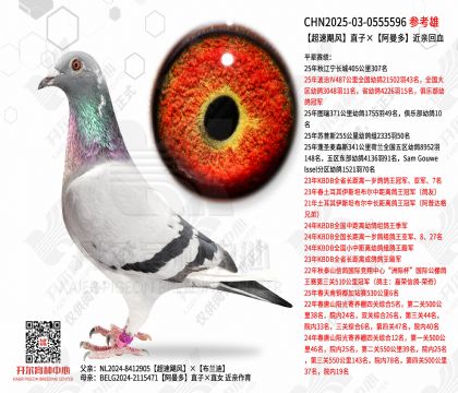 ����쫷�ֱ�ӡ������� ���׻�Ѫ