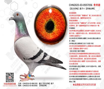 ��������ֱ�ӡ�����Ů��