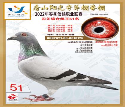 ��ɽ����������Ĺ��ۺ�51��