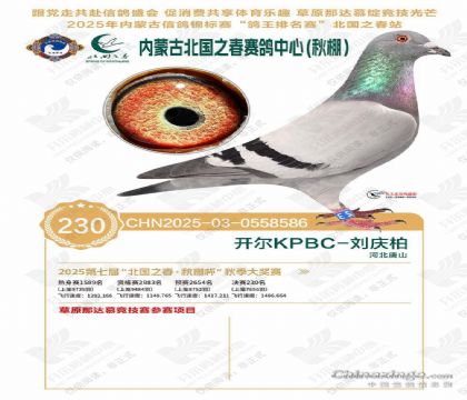 25�������ɹű���֮������230��