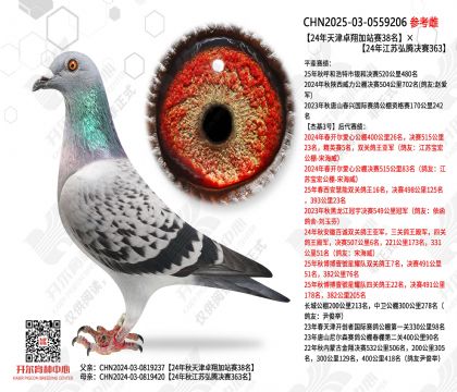 24�����׿���վ��38����24�꽭�պ��ھ���363