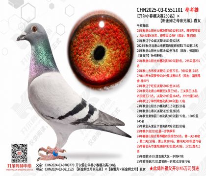 ����С�������250���� �½�ķ֮ĸ���ֵ�ֱŮ