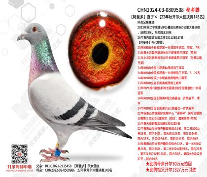 ������ֱ�ӡ�22���￪���������145��