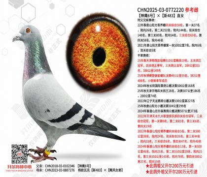 ��ӥ6�š���483ֱŮ