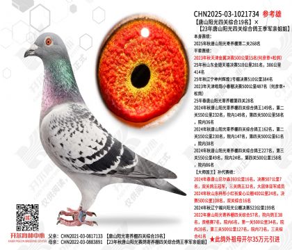 ��ɽ�����Ĺ��ۺ�19��23�������Ĺ��ۺϸ��������׽��