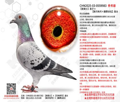 ҹ��ʿֱ�ӡ�