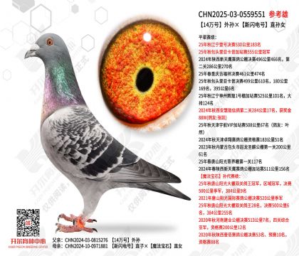 14���������������ֱ��Ů