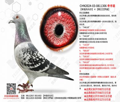 �������������������޵�