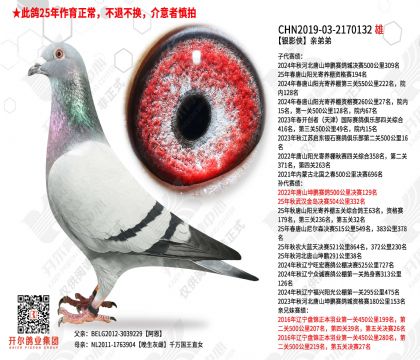 ��Ӱ���׵ܵ�