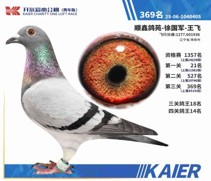 2025�꿪����������ӵ�����369�����ƣ�