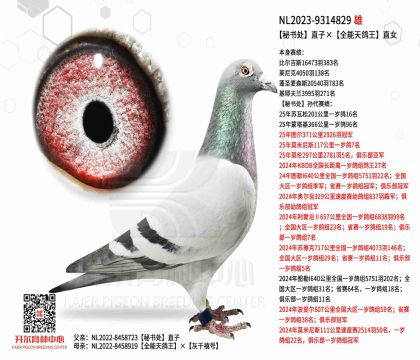 2����23-9314829