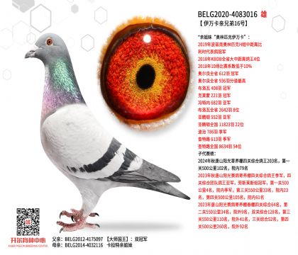 2����20-4083016