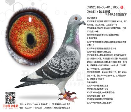 2����0101050