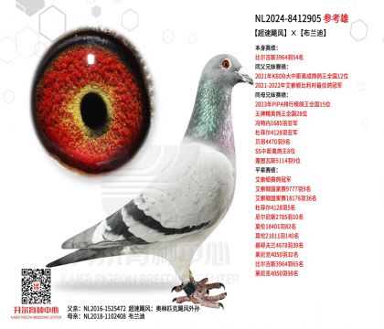 2����24-8412905