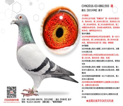 2����16-0861593