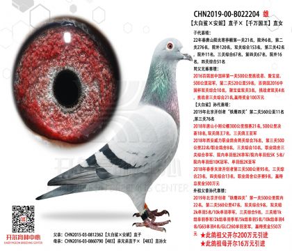 2����-B022204