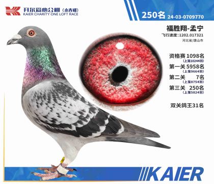 2����0709770