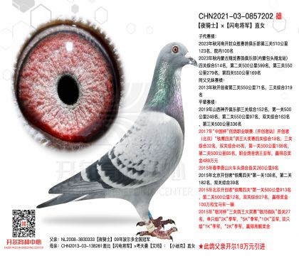 2����21-0857202