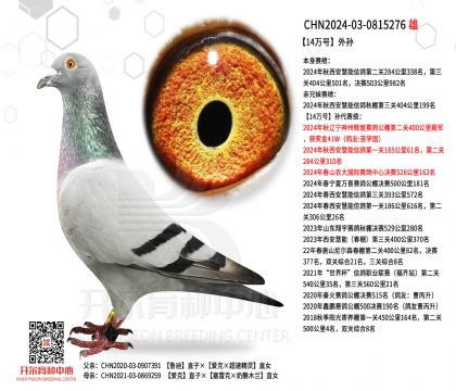 2����24-0815276