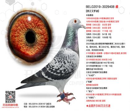 3ĸ��-3029408����