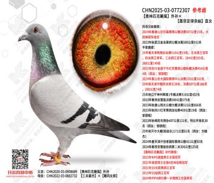 ����ƥ���Z�L�����ī�ƶ�������ֱŮ