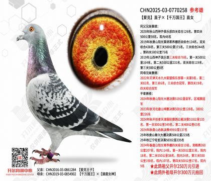 ����ֱ�ӡ�ǧ�����ֱŮ