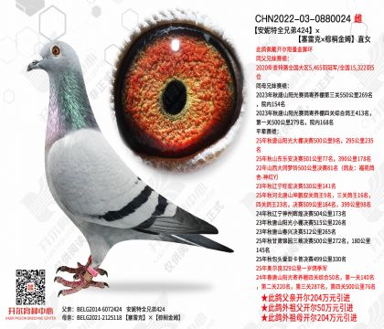 ���������ֵ�424��