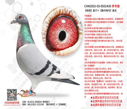 ����ֱ�ӡ��������ֱŮ