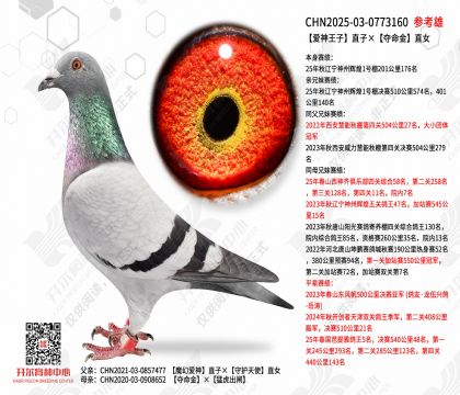 ��������ֱ�ӡ�������ֱŮ