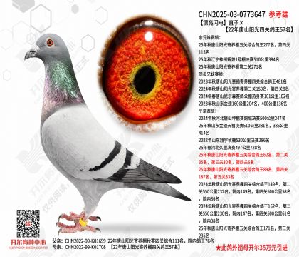 Ư������ֱ�ӡ�22����ɽ�����Ĺظ���57��