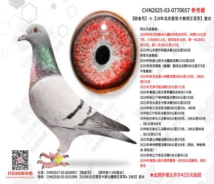 �ӽ�š�10�걱�����ǿ��ո����Ǿ�ֱŮ