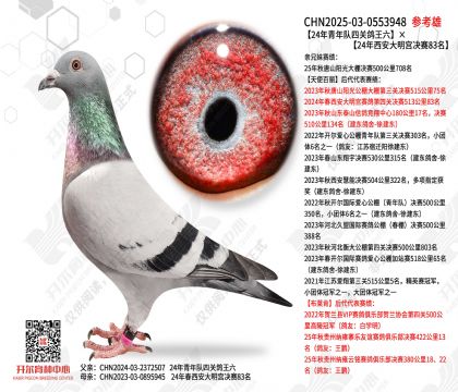 24��������Ĺظ�������24����������������83��