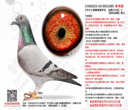 ����С����Ԥ������������525������ɫ��ķֱŮ