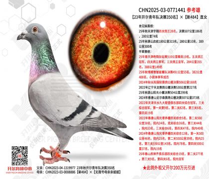 23�꿪������Ӿ���350������484ֱŮ