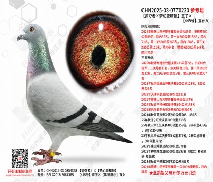 ���Ӷ��ߡ��λ��Ǿ��١�ֱ�ӡ�445��ֱ��Ů